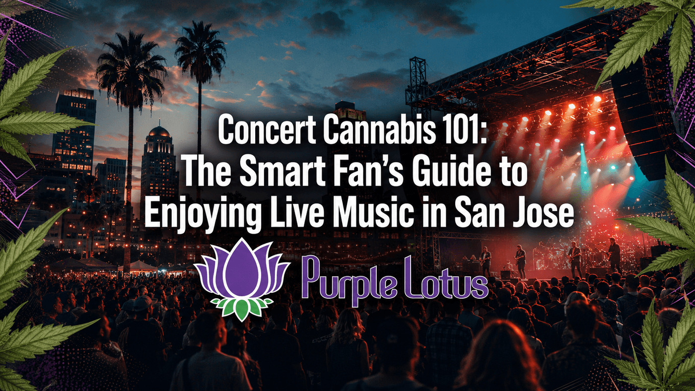 Concert Cannabis 101: The Smart Fan's Guide to Enjoying Live Music in San Jose