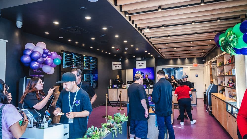 🌿 September Cannabis Deals & Demo Events at Purple Lotus San Jose