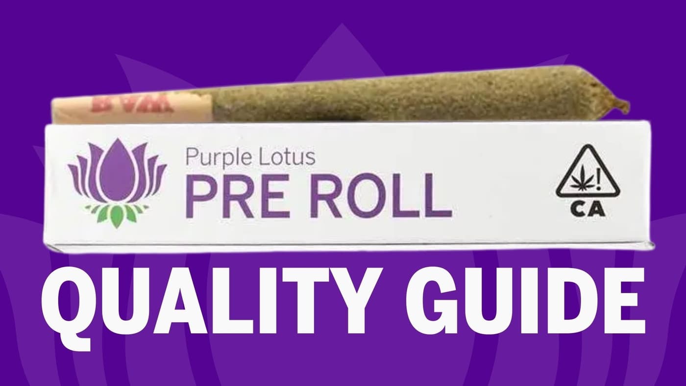 Pre-Roll Quality Guide: What Makes Premium Cannabis Joints 🚬