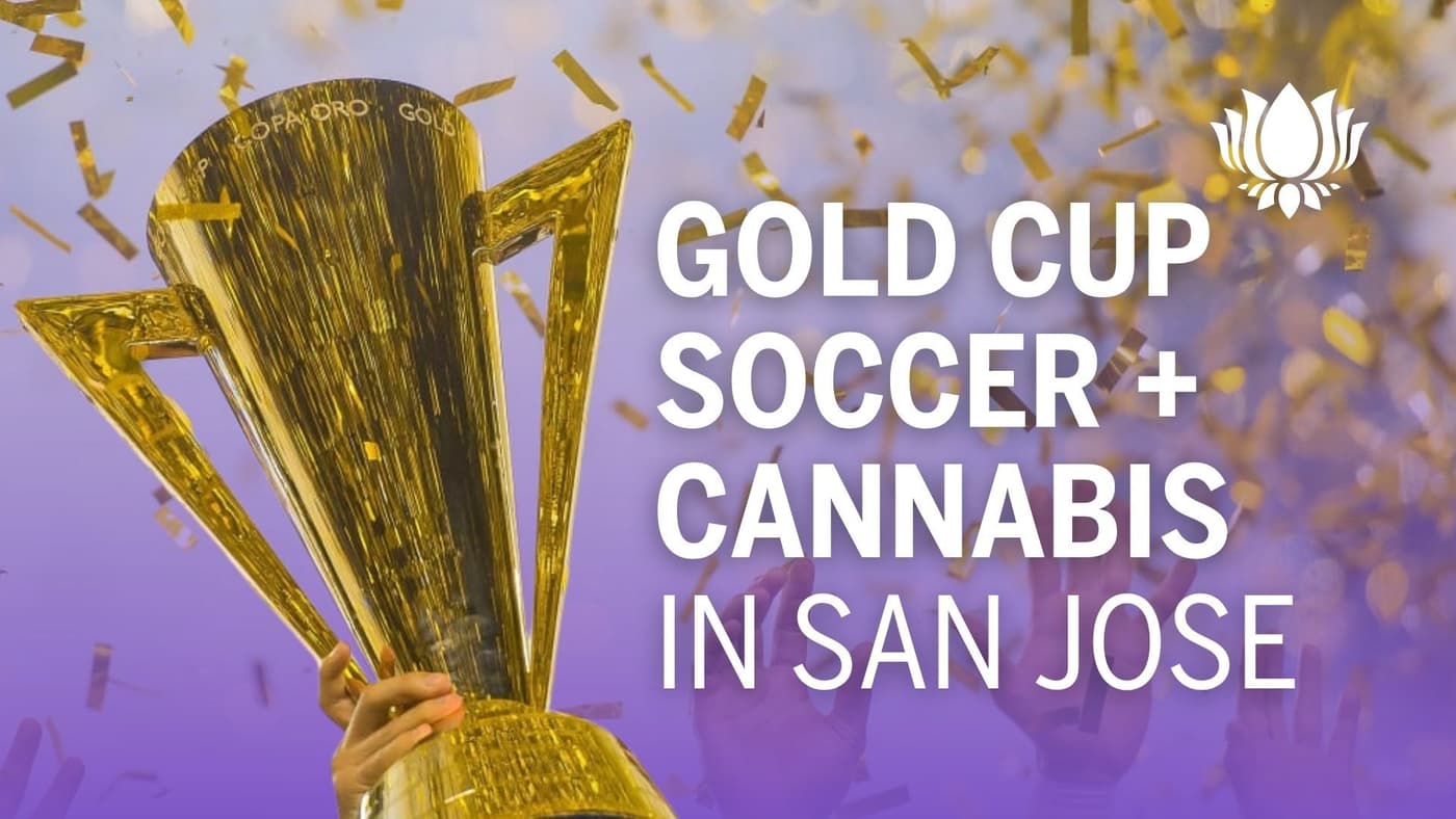 Gold Cup Soccer & Cannabis: San Jose Summer Guide 2025