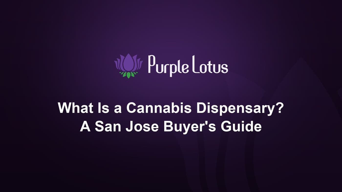 Purple Lotus cover graphic: what is a cannabis dispensary — a San Jose buyer's guide