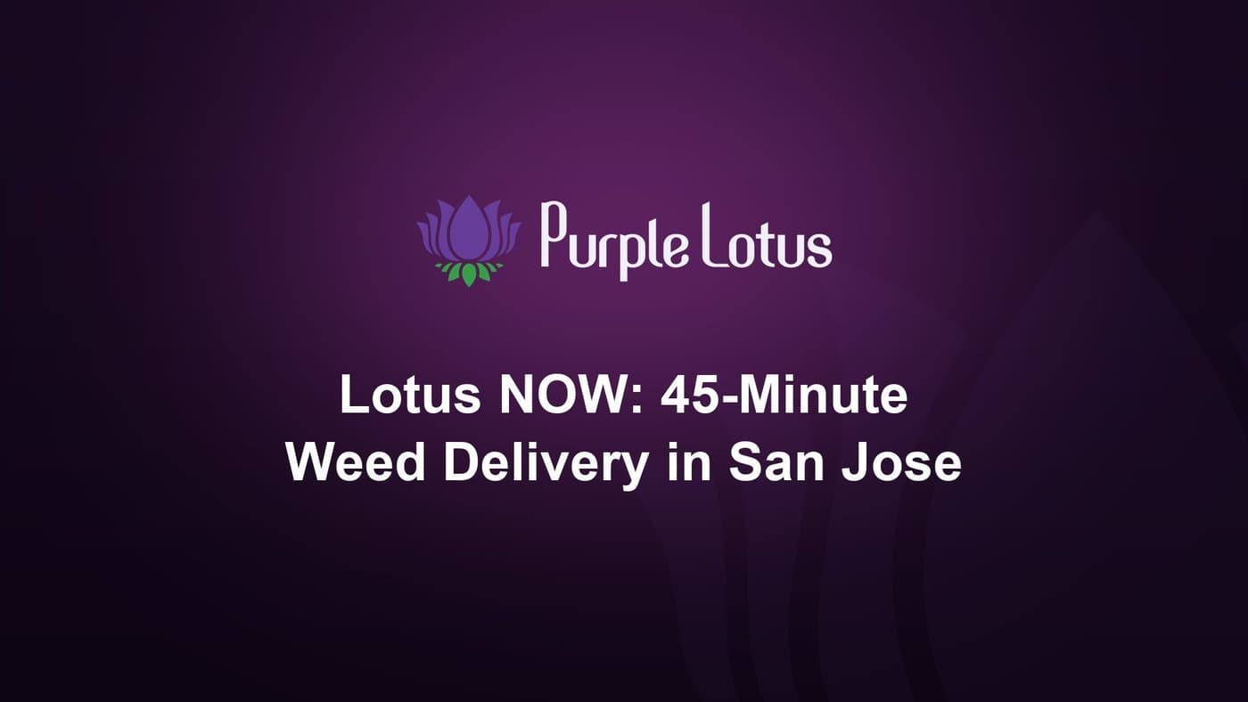 Purple Lotus cover graphic: Lotus NOW 45-minute weed delivery in San Jose