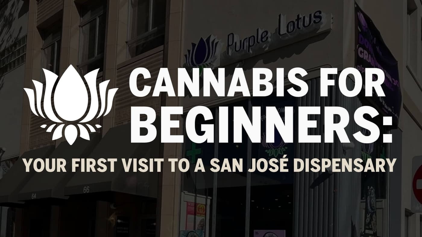 Cannabis for Beginners: Your First Visit to a San José Dispensary