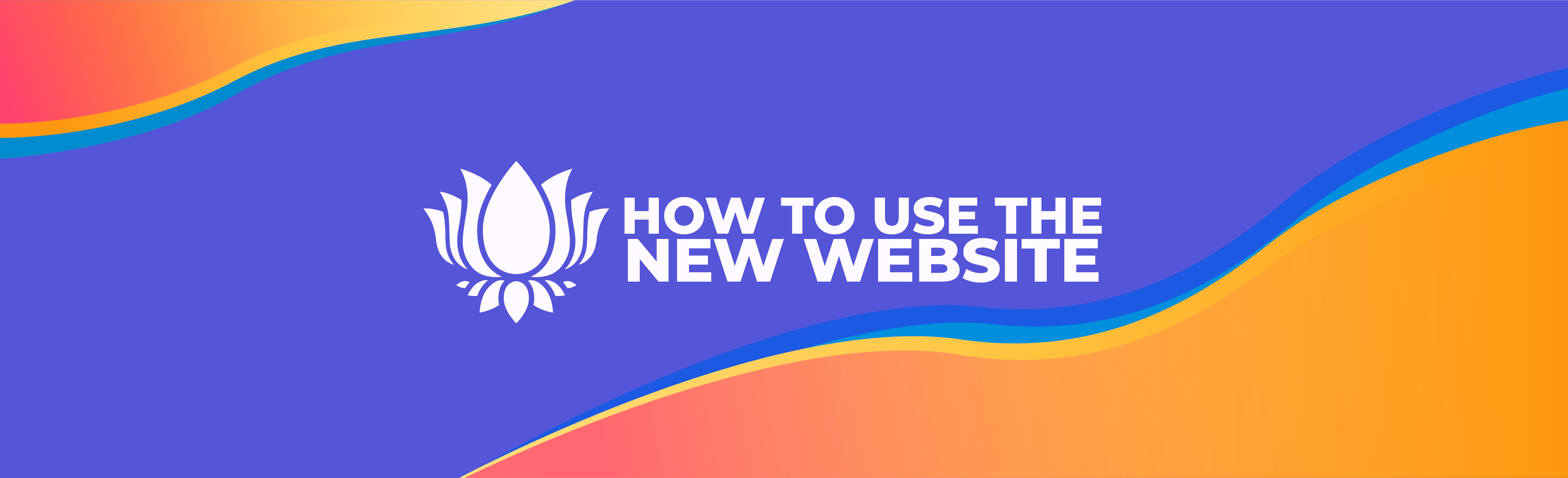 How To Use The New Website