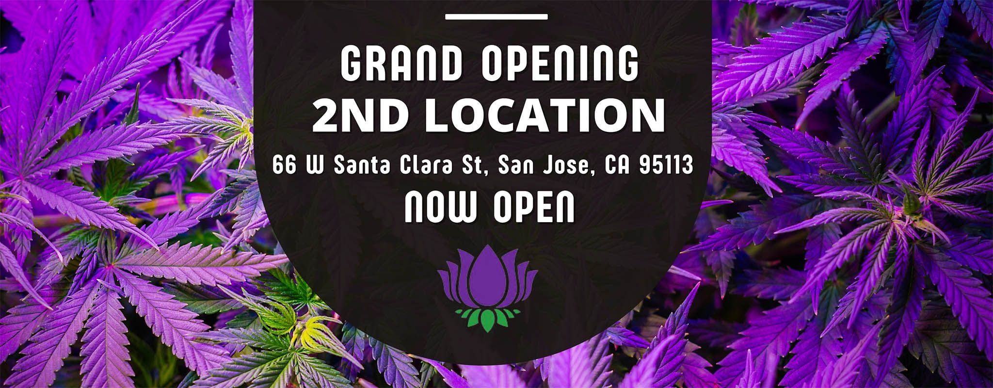 Purple Lotus Debuts New Downtown San Jose Dispensary, Celebrates Over a Decade of Service
