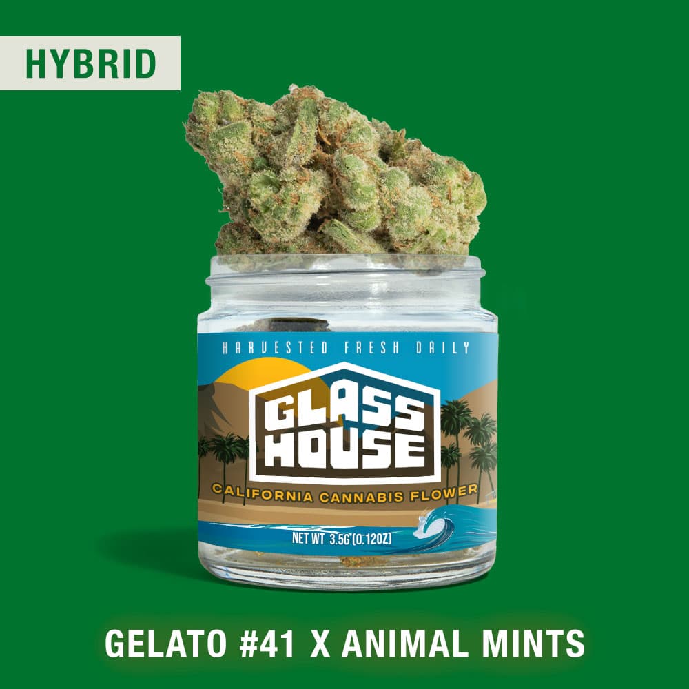 Gelato #41 x Animal Mints