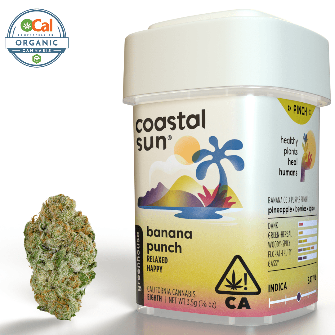 Banana Punch