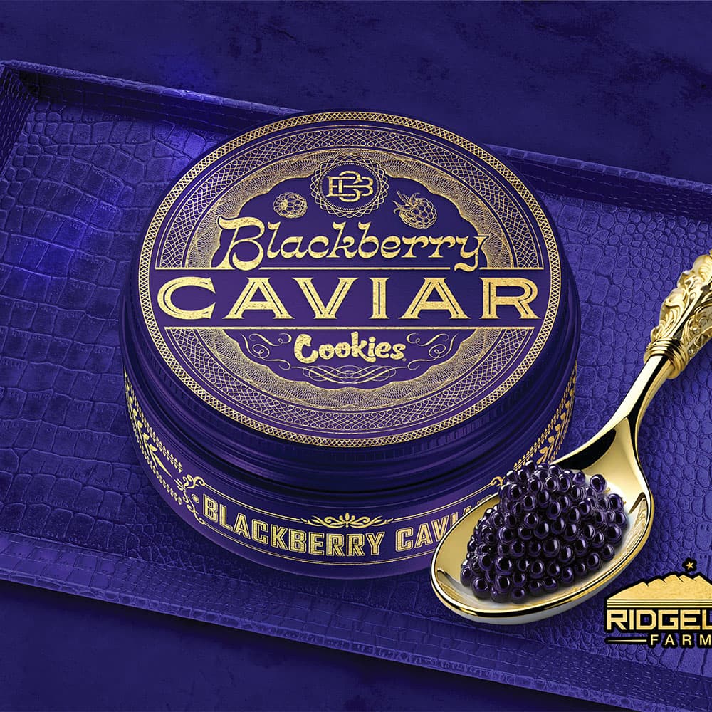 Blackberry Caviar
