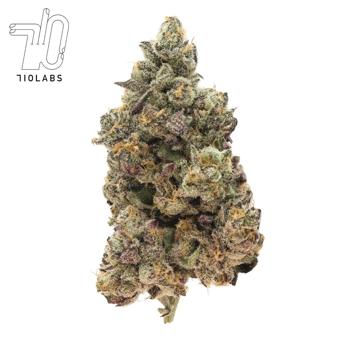 web限定セール Honey Banana Lotus Purple | #8 Jamez Rick X Shampoo