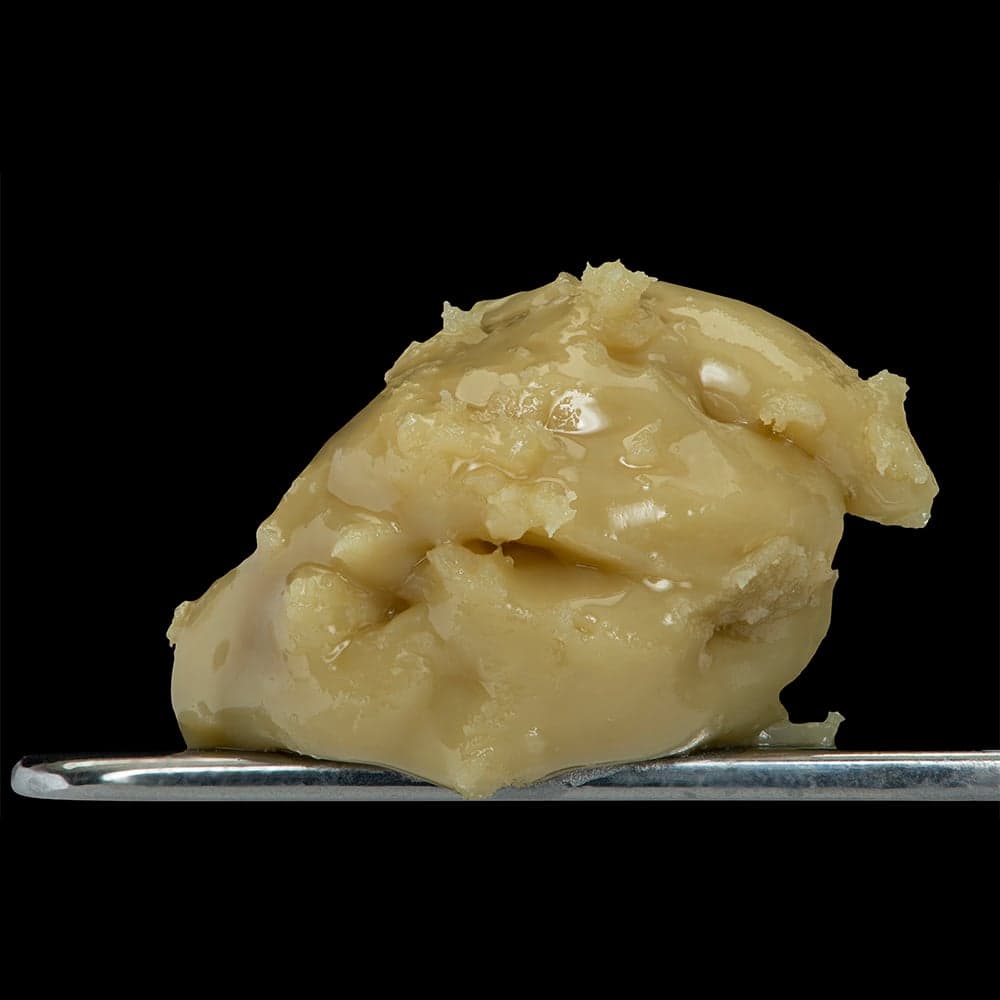 Motor Breath x Banana Punch