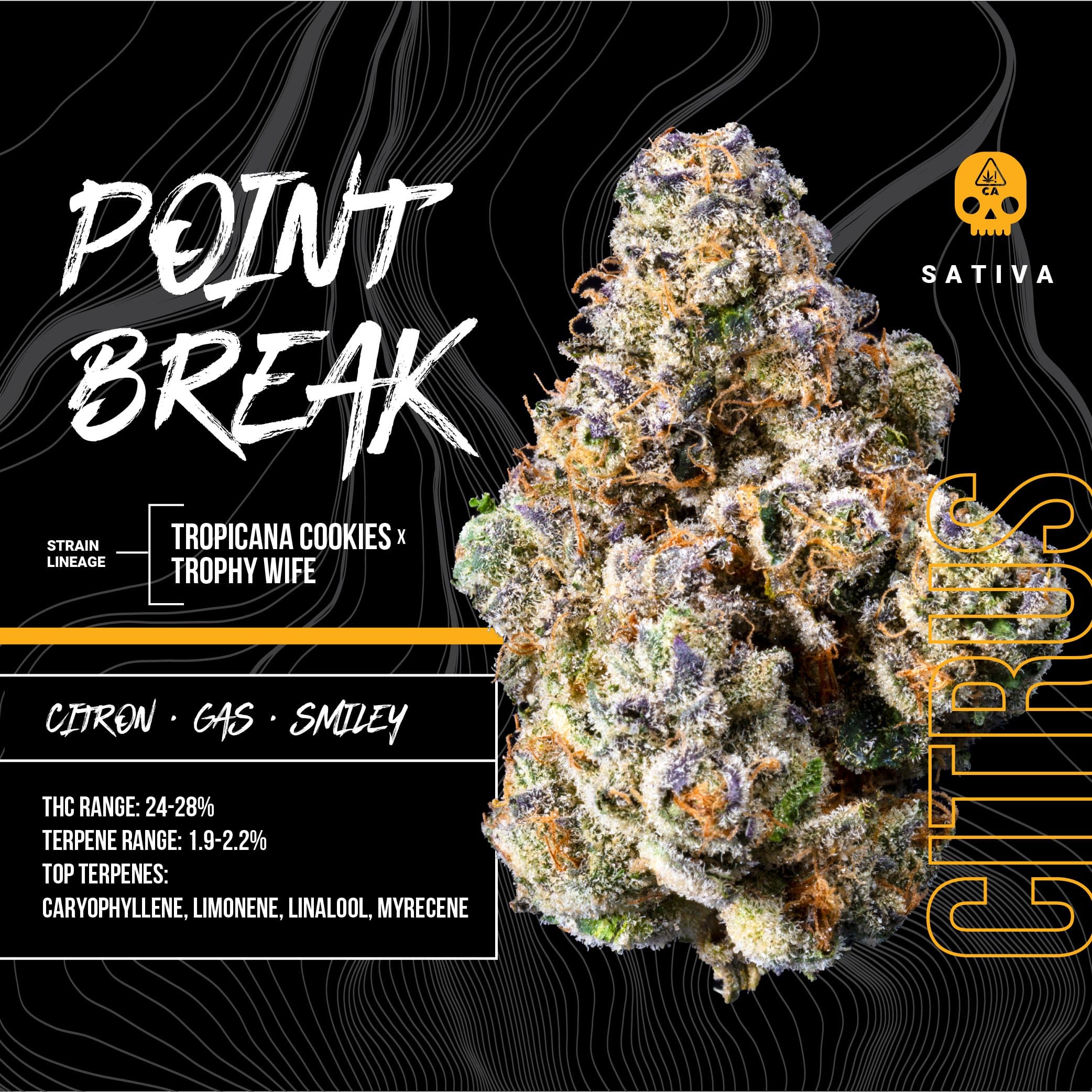 Point Break