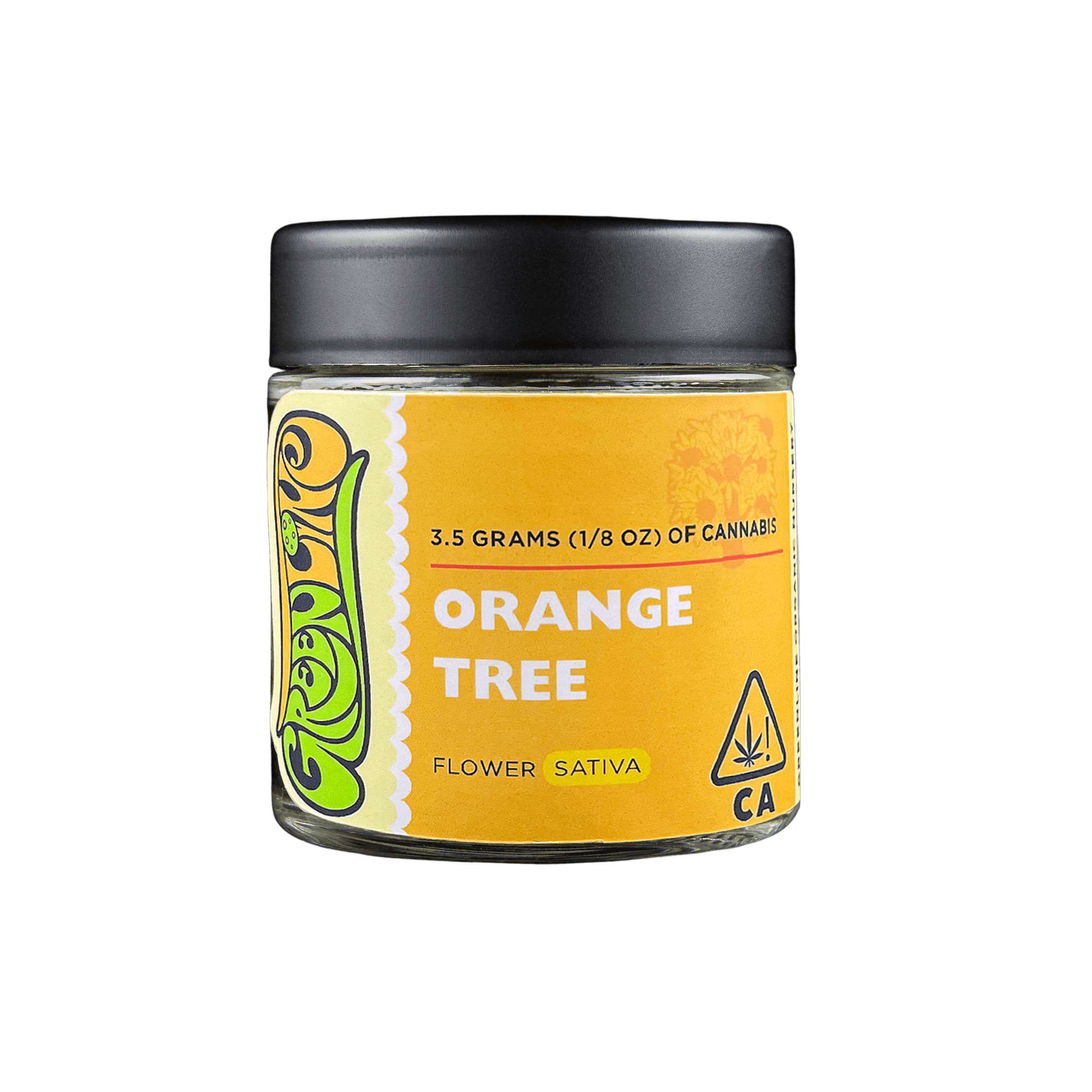 Orange Tree