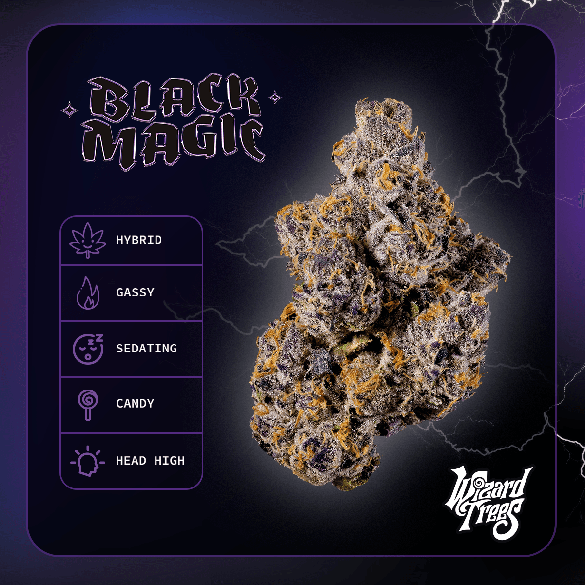 Black Magic