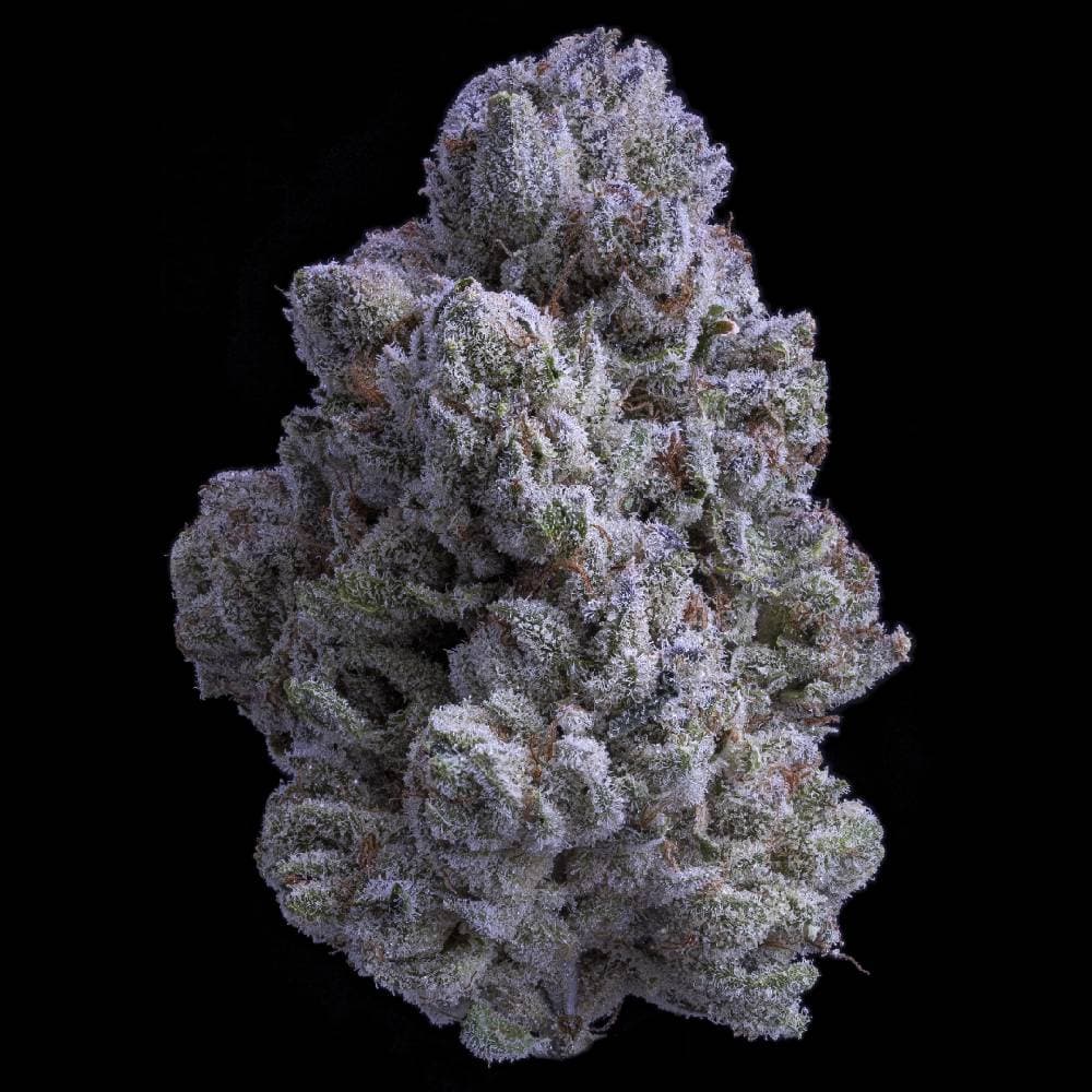 Snow White