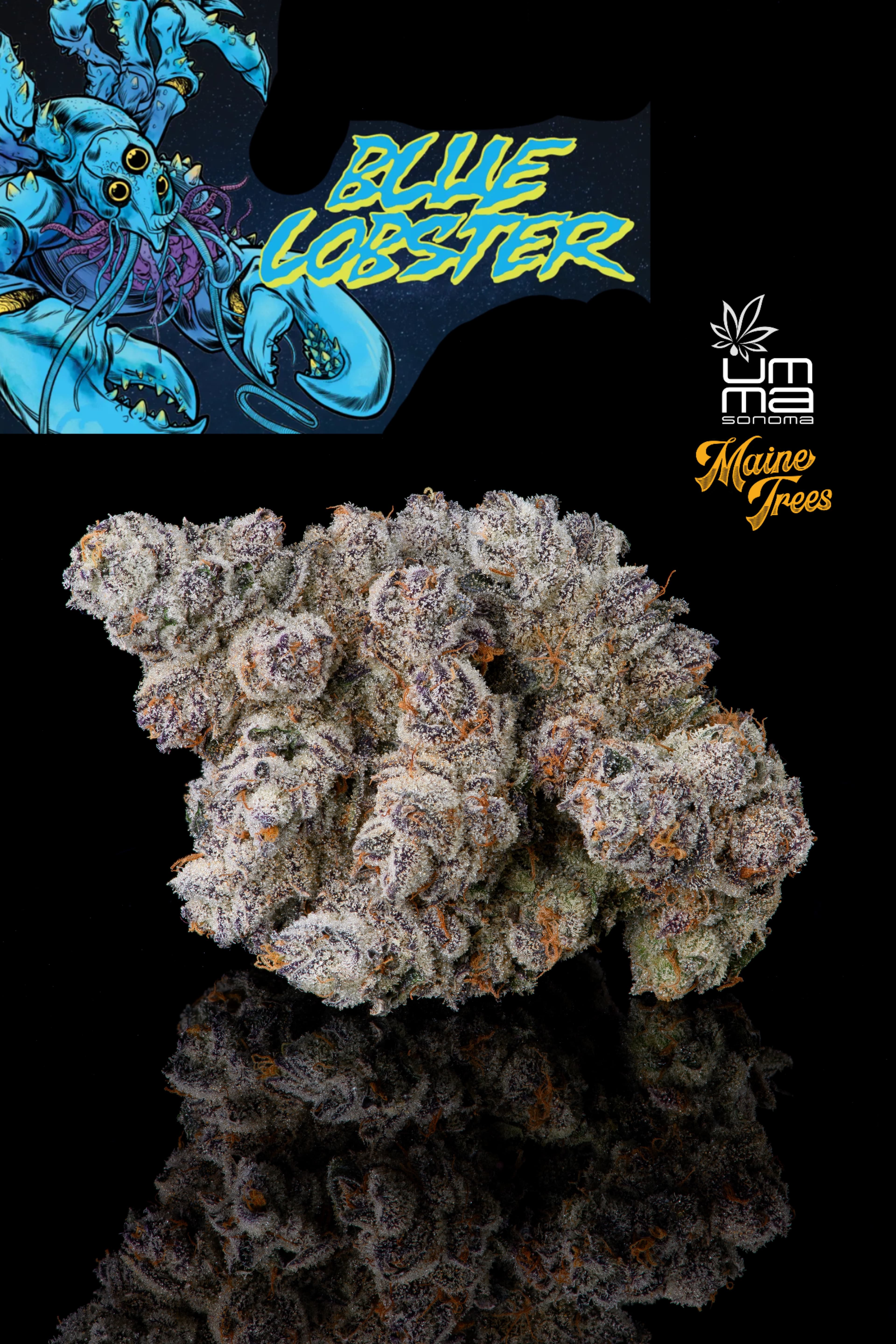 Blue Lobster