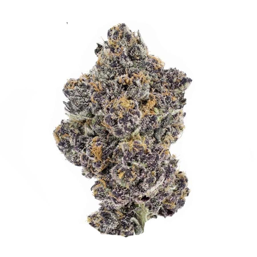 Purple Tangie