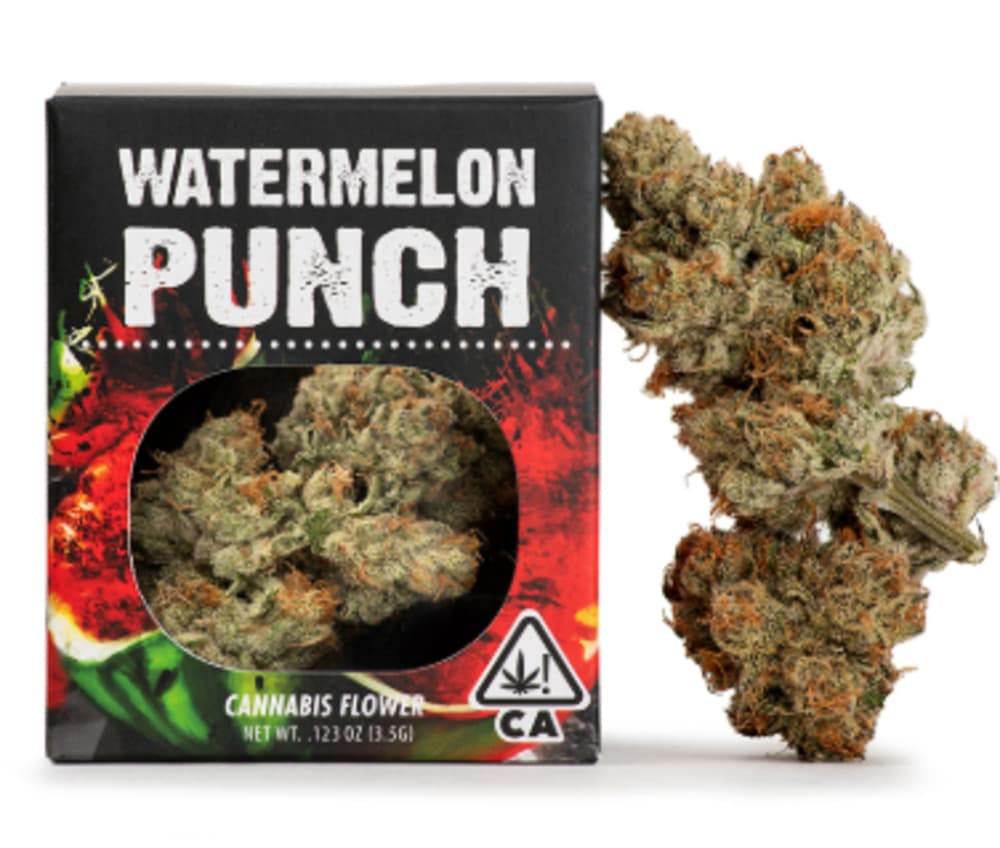 Watermelon Punch