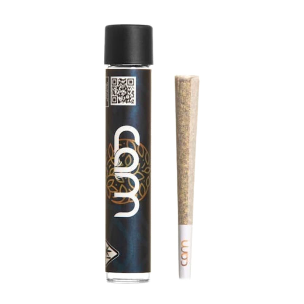 Sugar Cane [1g]
