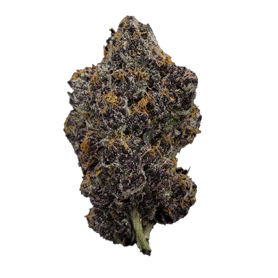 Platinum Afghani
