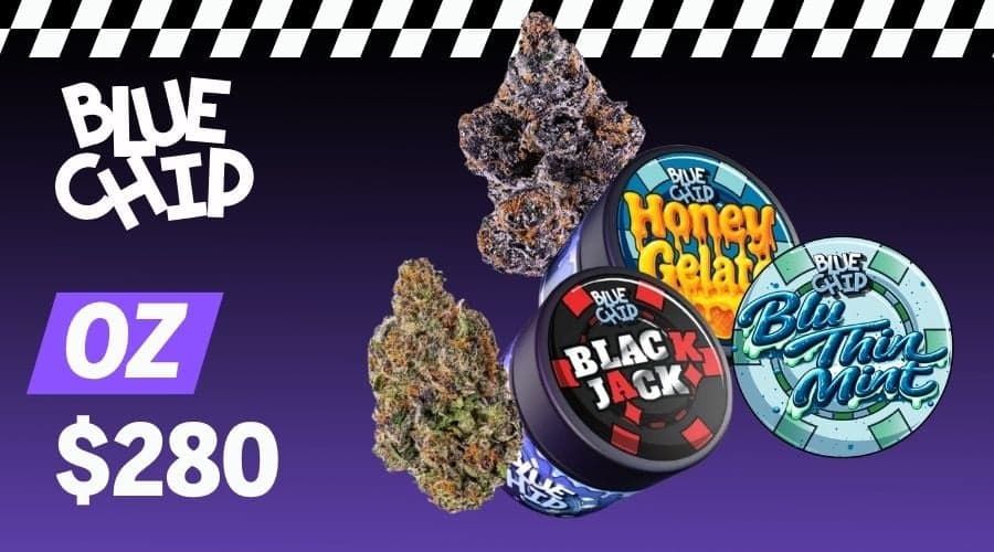Blue Chip $280