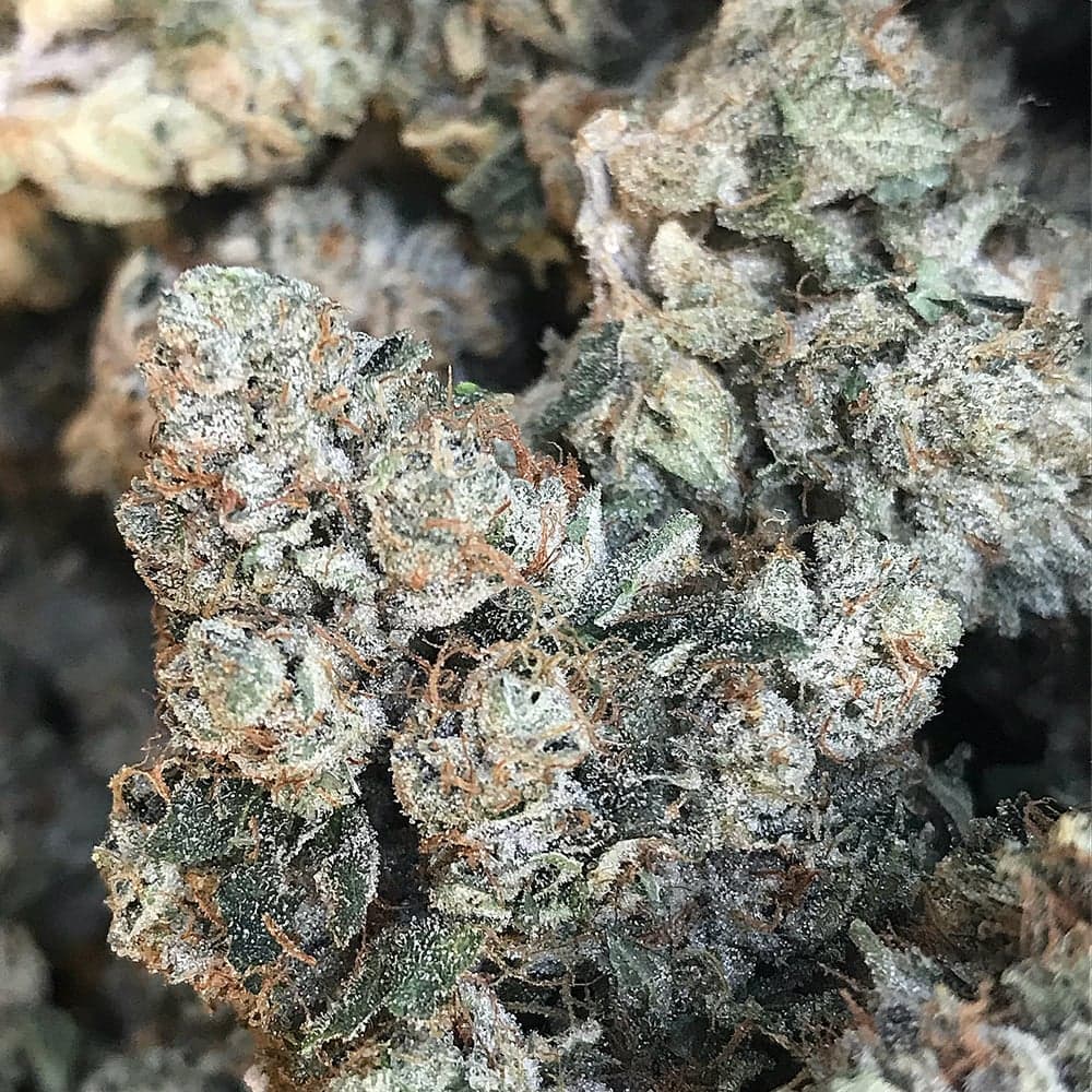 Nameless OG