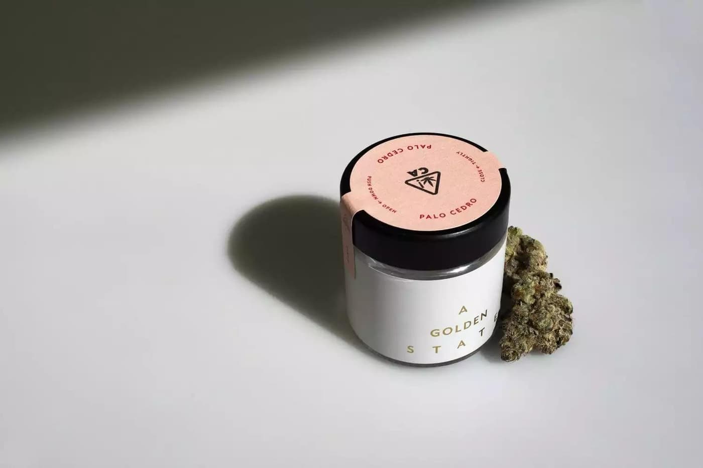 Behind the Scenes with A Golden State!