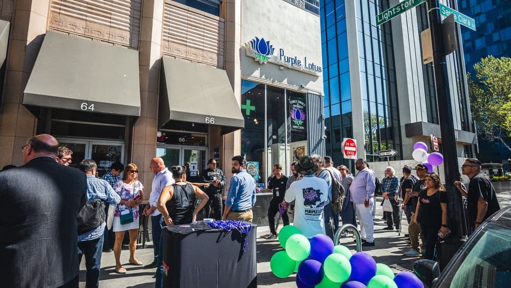 San José Cannabis Culture: History, Community, and Local Scene 🌿