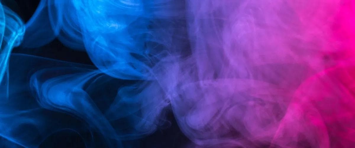 Purple Lotus 13th Anniversary: Celebrating 13 Years of High Quality