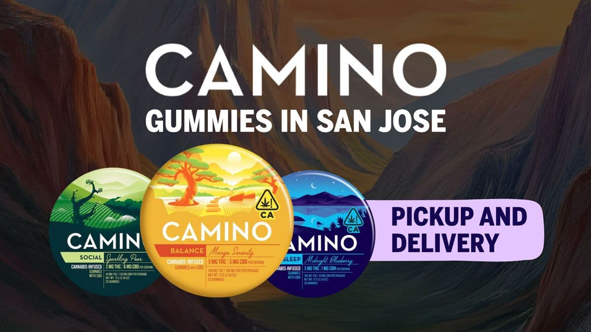 Camino Gummies San Jose: Premium Cannabis Edibles & Same-Day Delivery