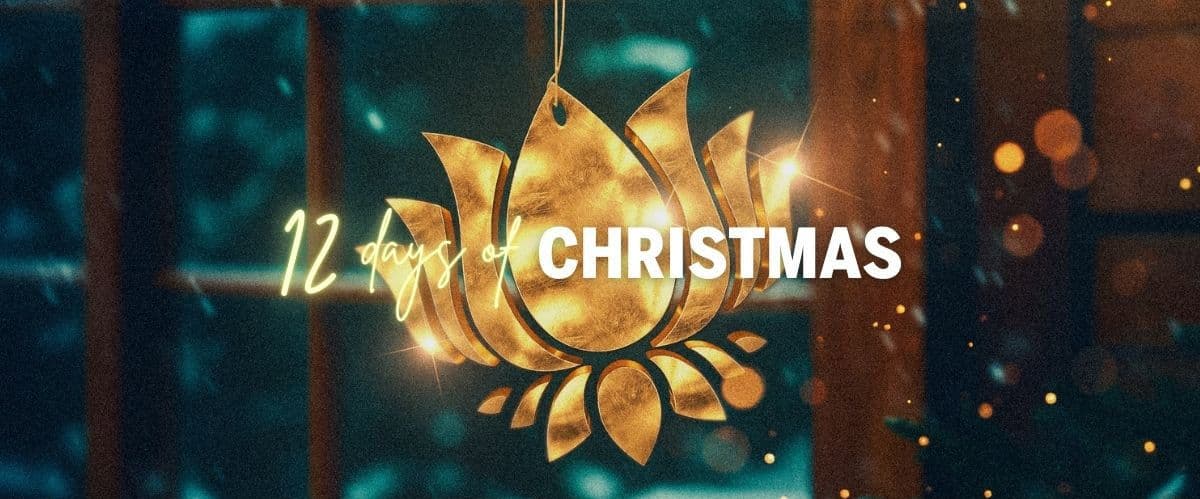 Celebrate the Holidays with Purple Lotus' 12 Days of Deals!