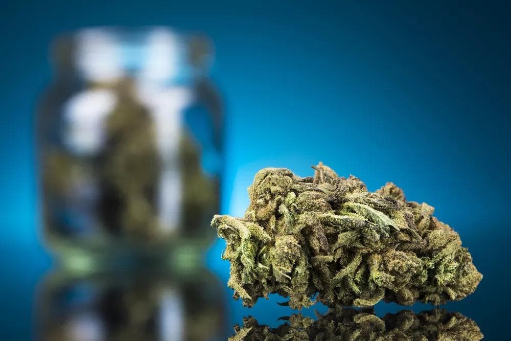 CBD vs CBN: What's the Difference?