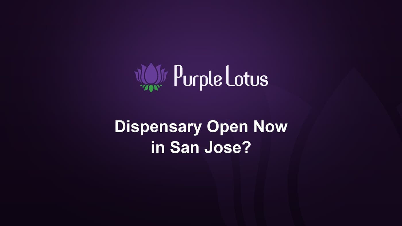Purple Lotus cover graphic: is there a dispensary open now in San Jose
