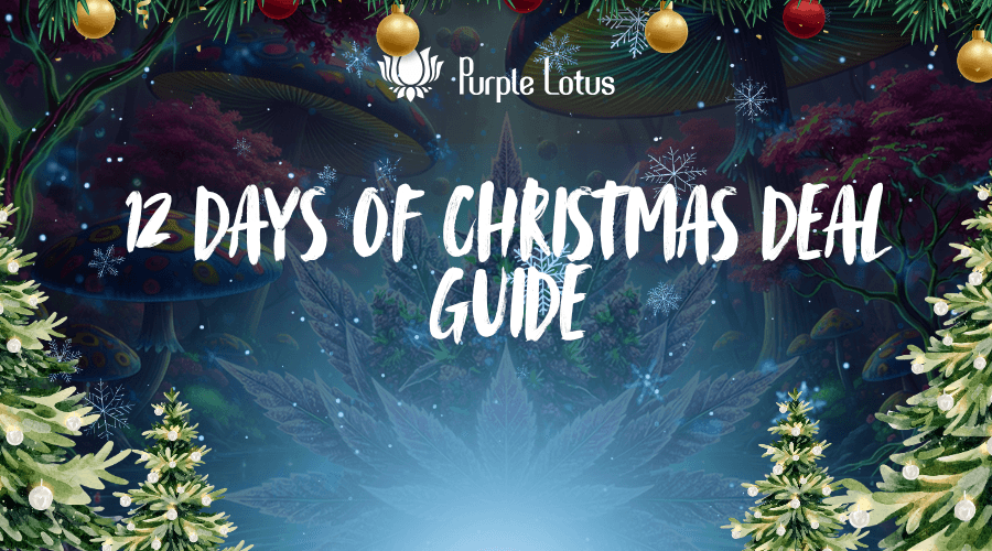 12 Days of Christmas Cannabis Deals San Jose: Your Holiday Savings Guide 2025
