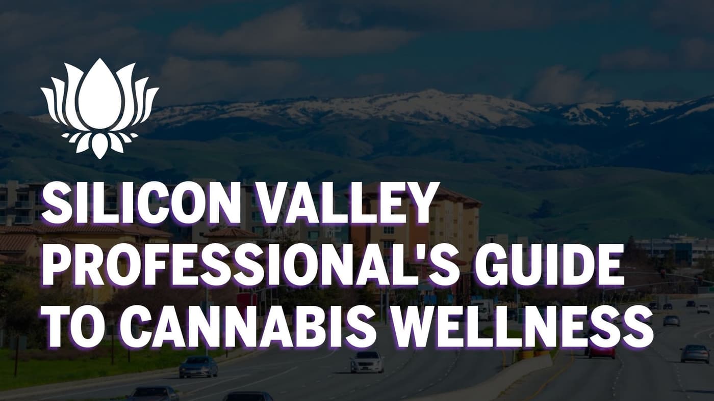Silicon Valley Professional's Guide to Cannabis Wellness 💼