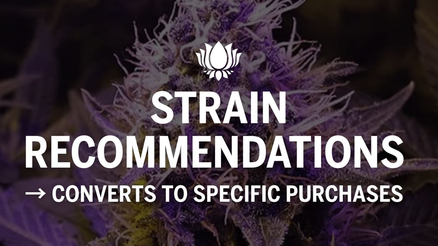 5 Best Cannabis Strains for Business Travelers