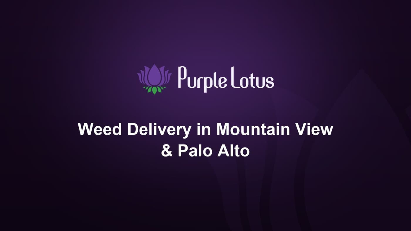 Purple Lotus cover graphic: weed delivery in Mountain View and Palo Alto