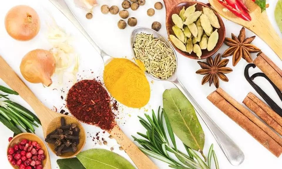 What are Hemp Terpenes?