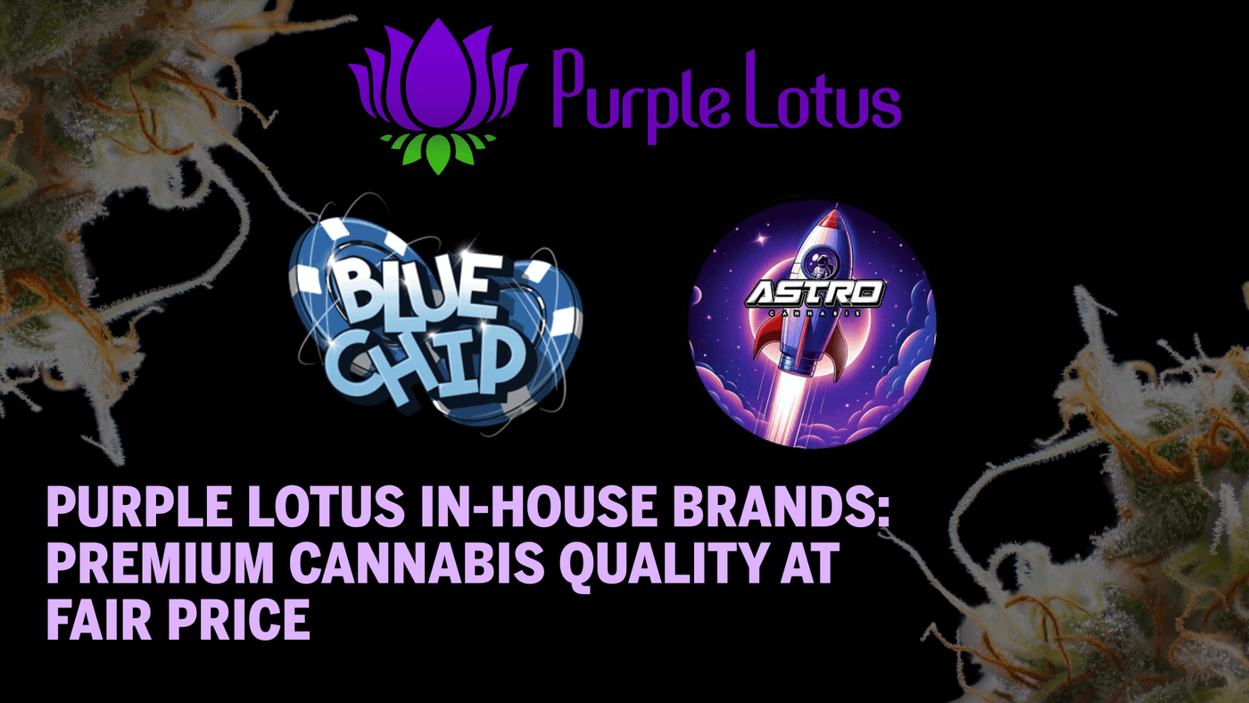 Purple Lotus In-House Brands: Premium Cannabis Quality at Fair Price