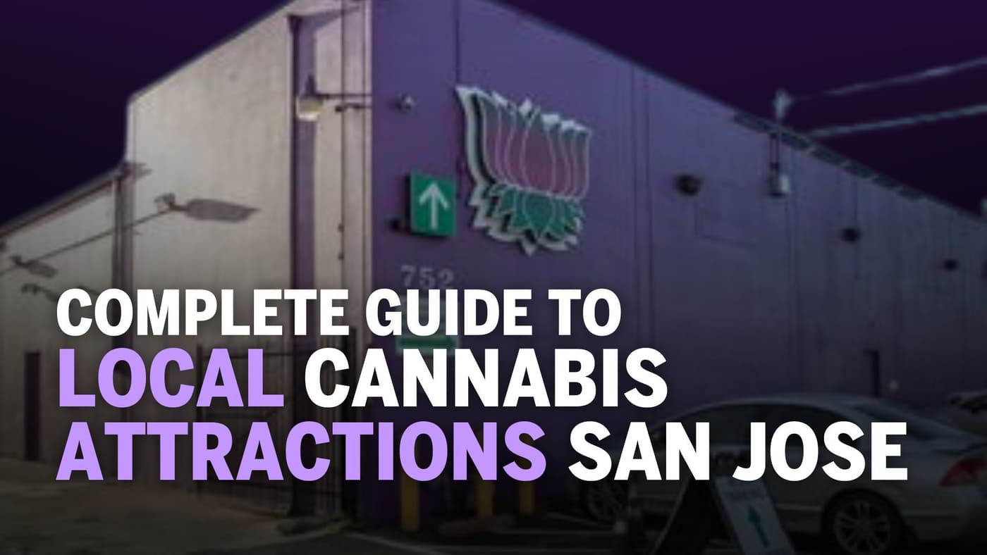 Complete Guide to Local Cannabis Attractions San Jose