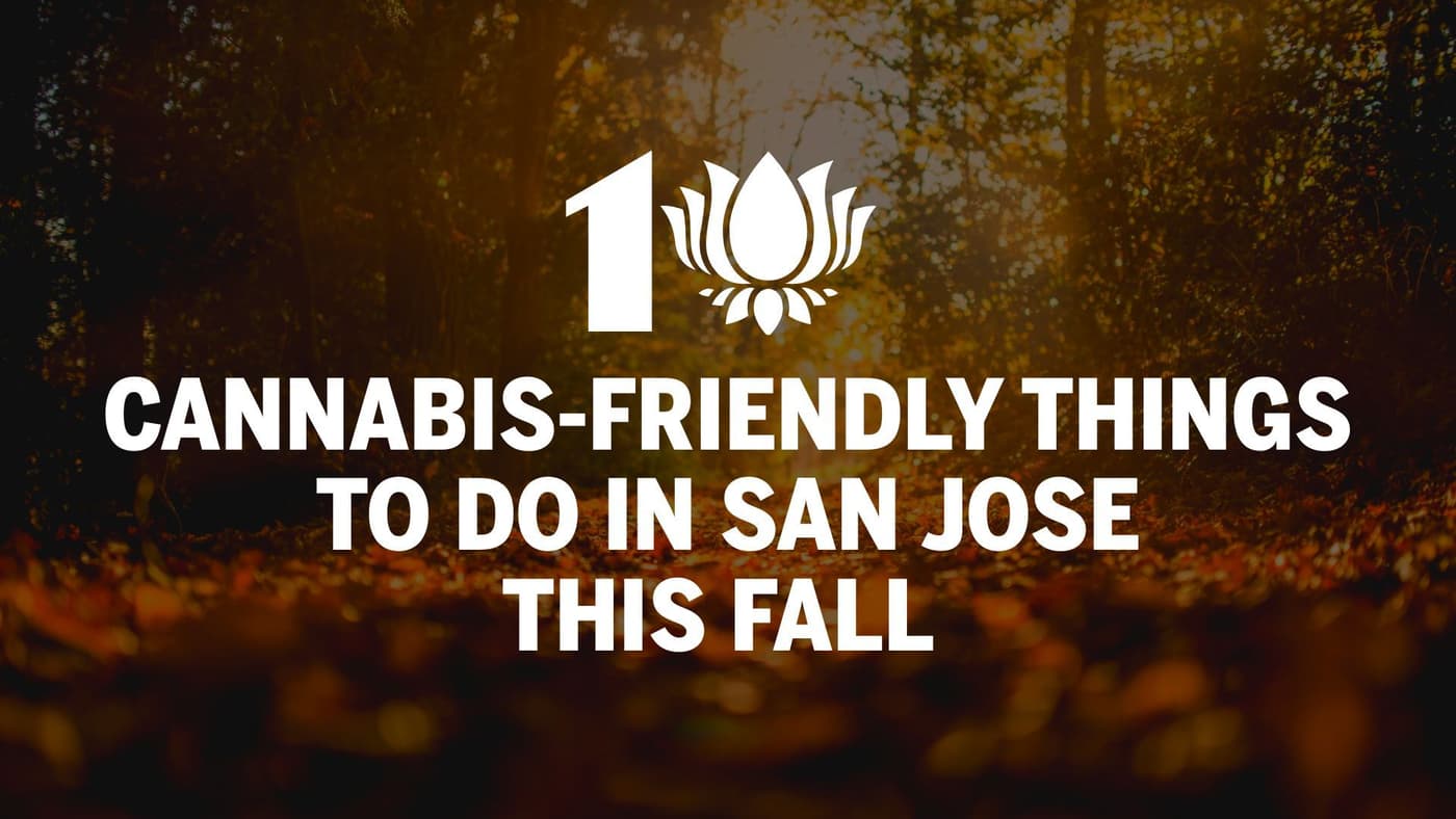 10 Cannabis-Friendly Things to Do in San Jose This Fall đ