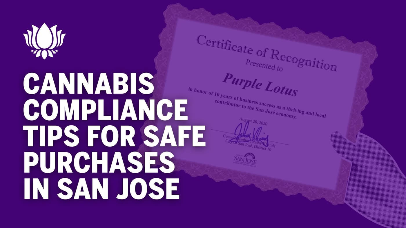 Cannabis Purchase Limits: Complete Guide for San Jose