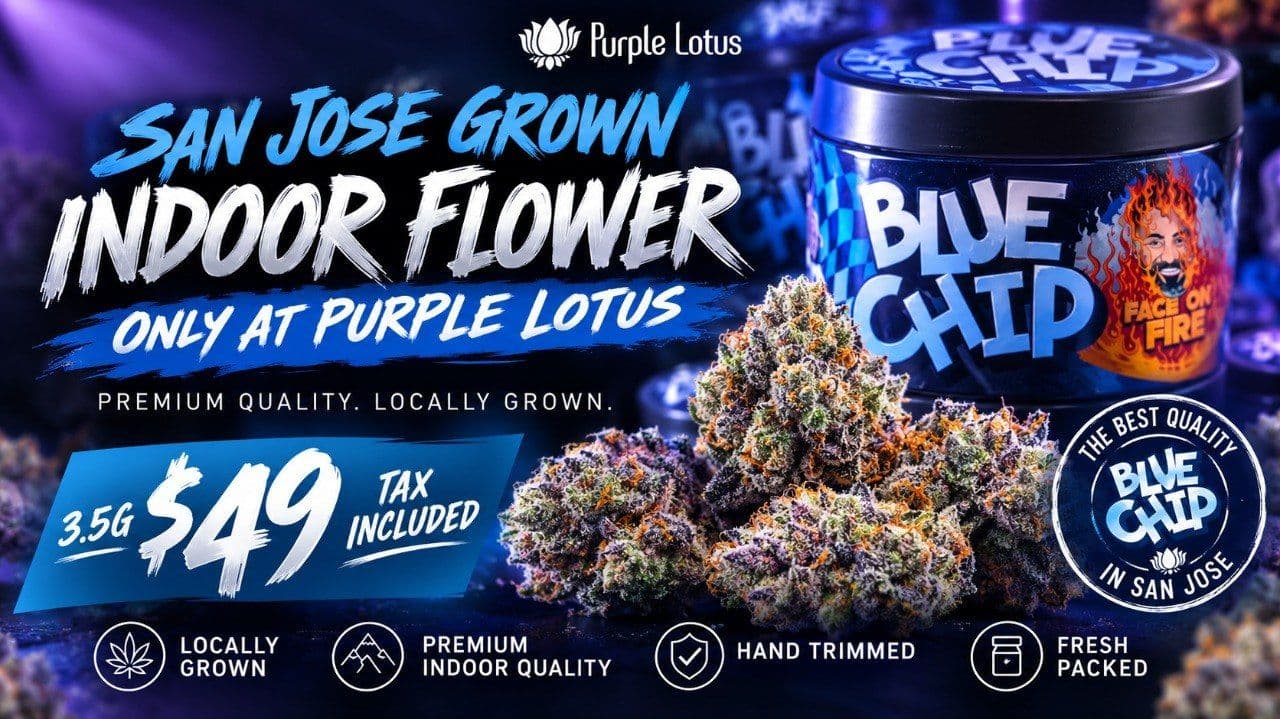 Blue Chip: Purple Lotus's San Jose-Grown Flower