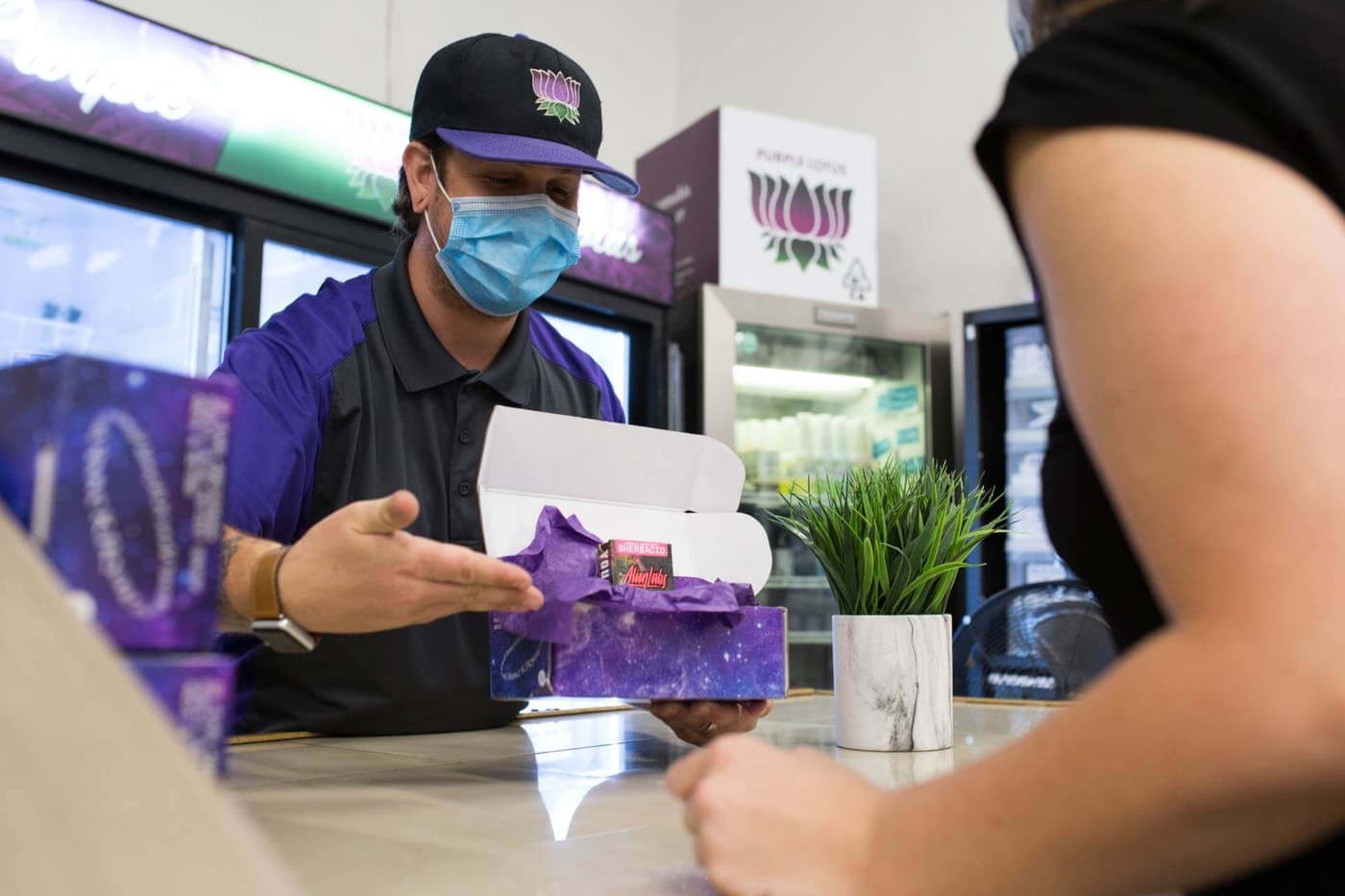 Purple Lotus Budtender helping a customer in San Jose dispensary