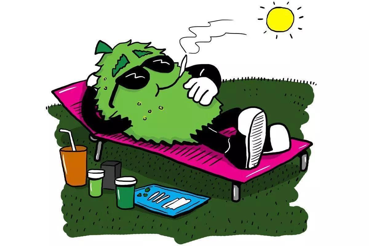 Top 5 Cannabis Brands For Summer