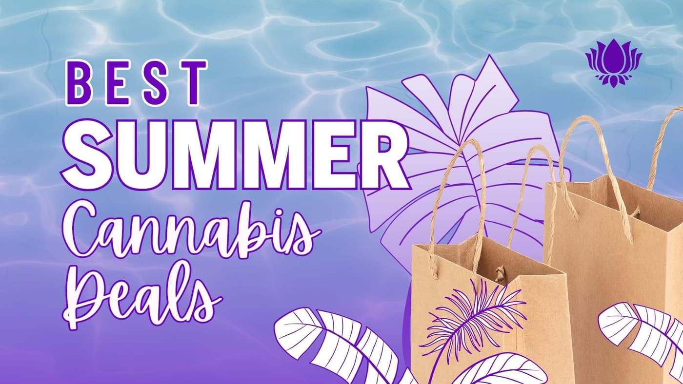 ☀️ The Ultimate Summer Cannabis Deals Guide: San Jose's Premier Destination at Purple Lotus