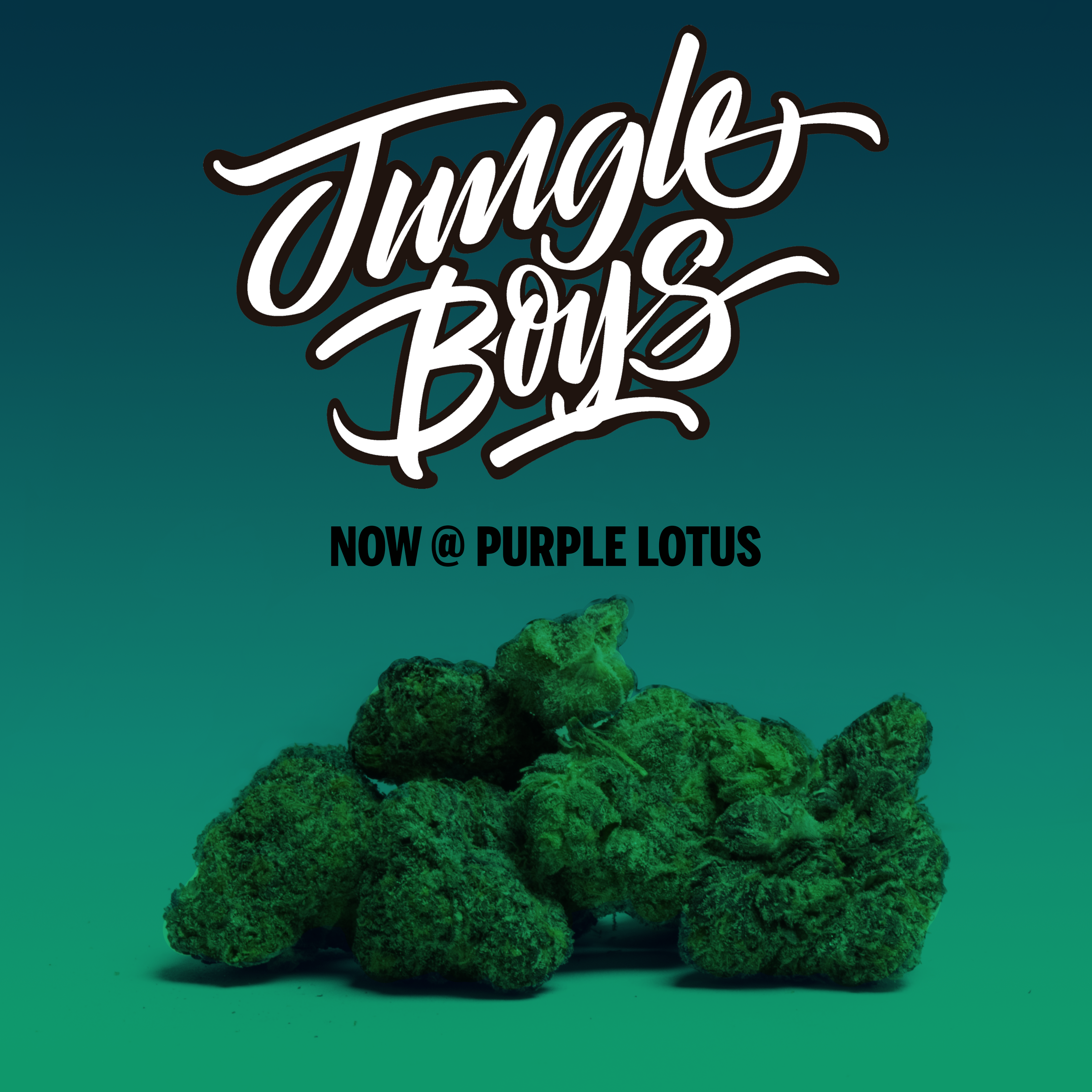 Purple Lotus is Bringing the Jungle (Boys) Home