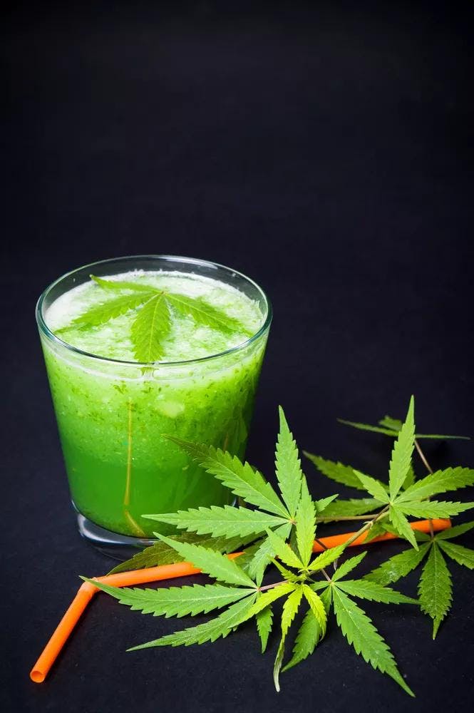 Cannabis Cocktails Recipes