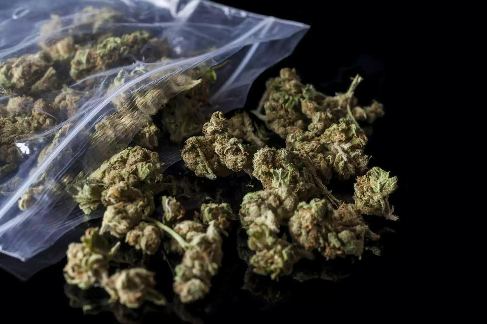 8 Ways To Make the Most of Dispensary Delivery Right To Your Home