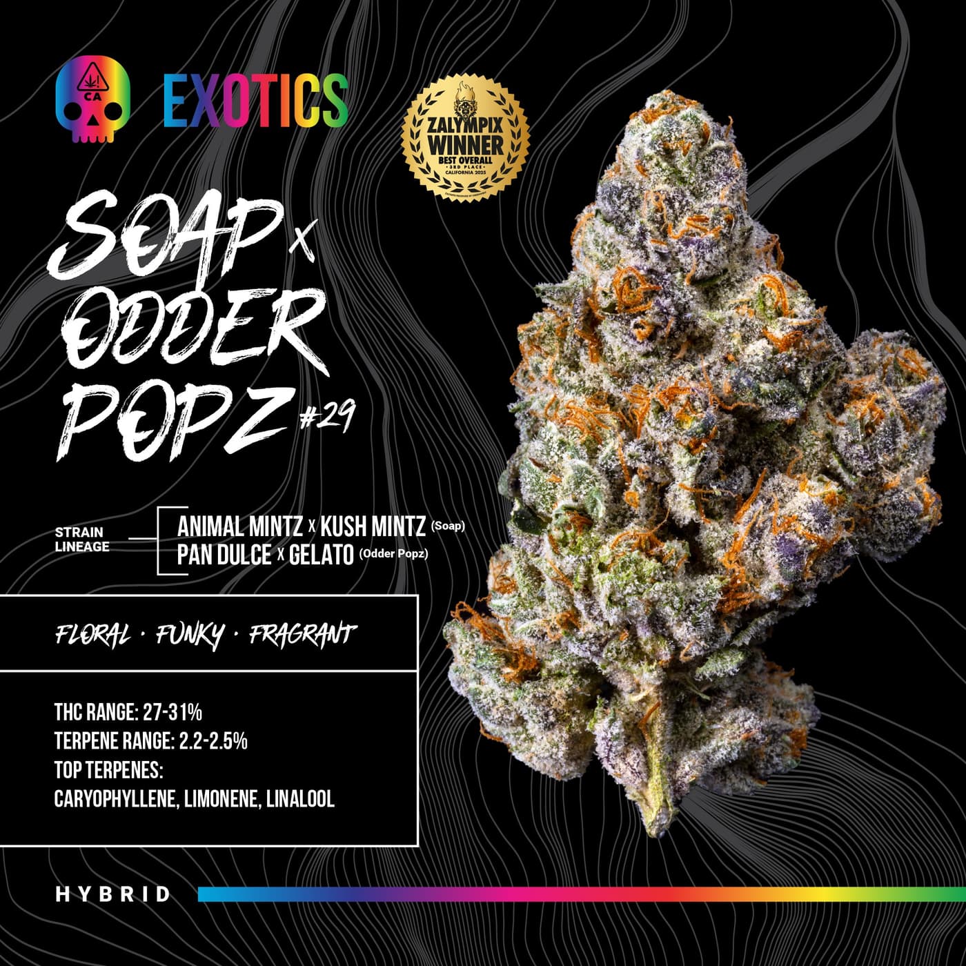 Soap x Odder Popz #29