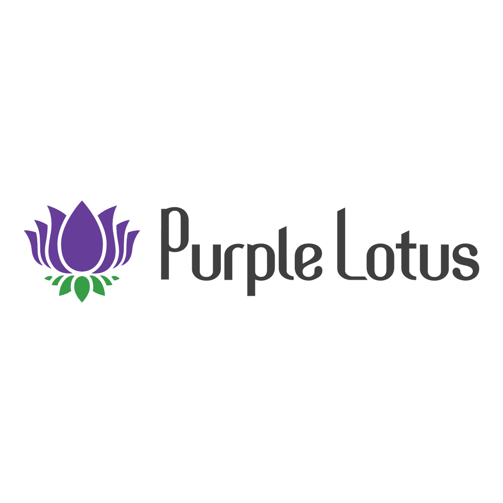 Lotus Mini Pro Battery